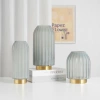 Direct sales and wholesale of Nordic minimalist frosted metal transparent glass vases, creative countertop decorative items for living room model rooms Specification image
